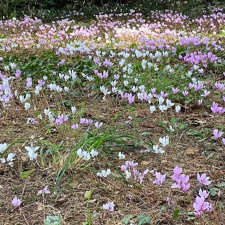 Σπίτι διακοπών Le Chateau De John Miles Au Bord De L'eau *