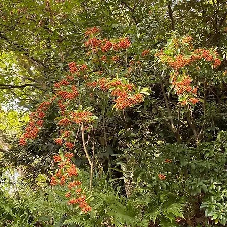 Le Chateau De John Miles Au Bord De L'eau * Suce-sur-Erdre