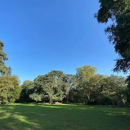 Le Chateau De John Miles Au Bord De L'eau *