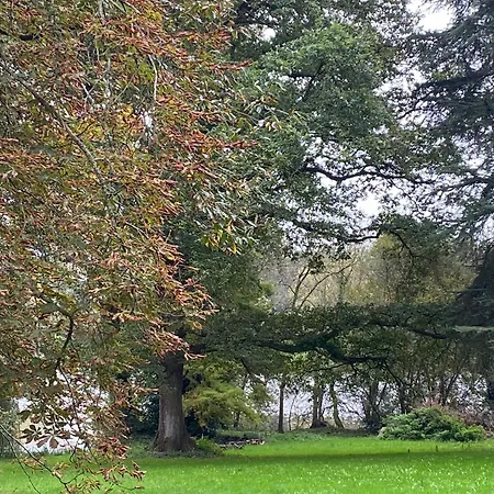Le Chateau De John Miles Au Bord De L'eau Sucé
