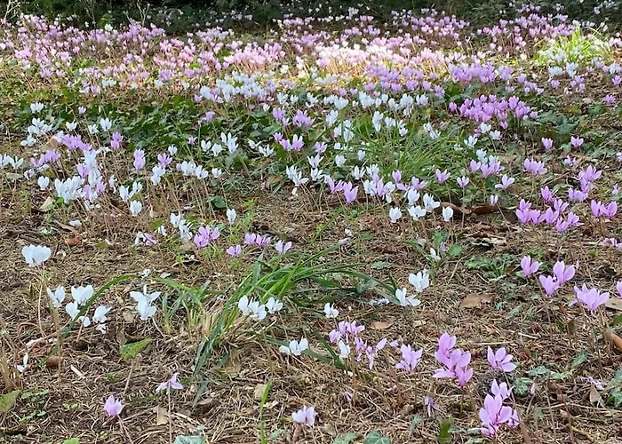 Σπίτι διακοπών Le Chateau De John Miles Au Bord De L'eau *