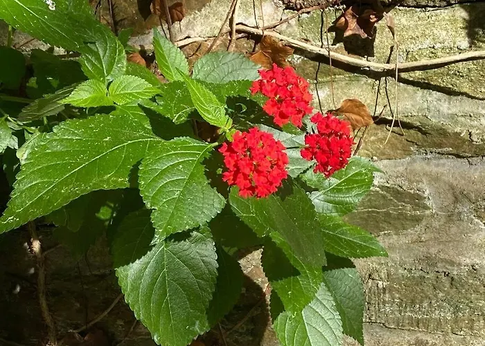 Le Chateau De John Miles Au Bord De L'eau * Sucé