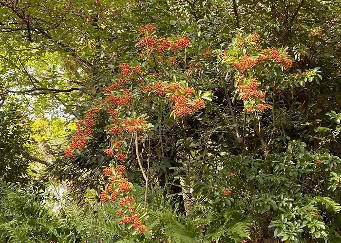 Le Chateau De John Miles Au Bord De L'eau * Sucé