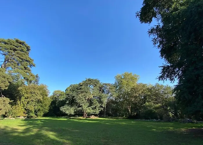 Le Chateau De John Miles Au Bord De L'eau *